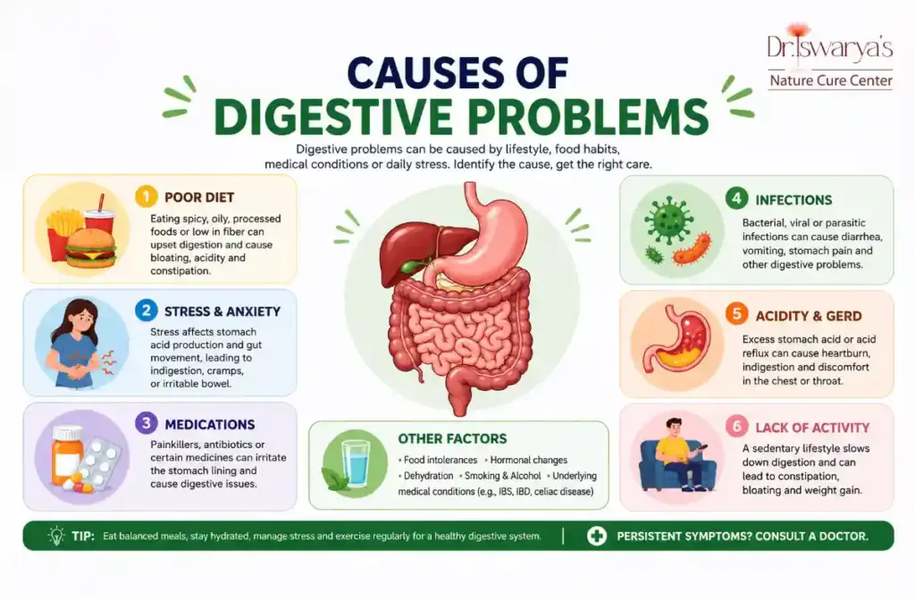 Natural Remedies for Digestion