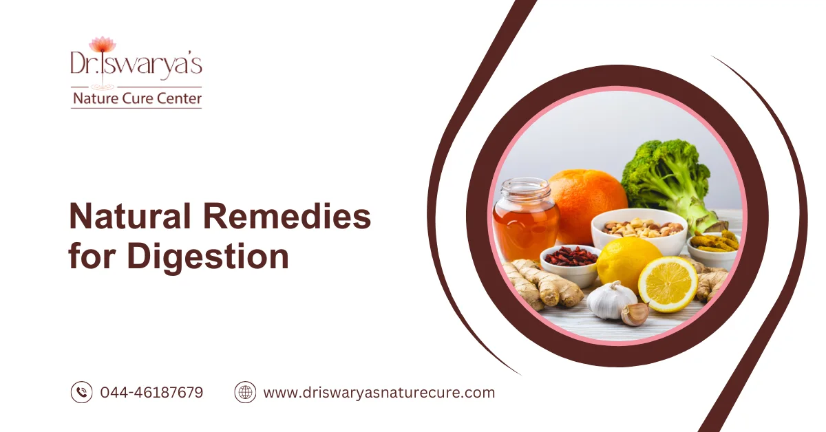 Natural Remedies for Digestion