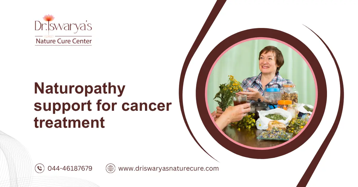 Naturopathy support for cancer treatment